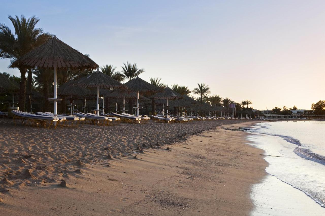 sharm dreams beach