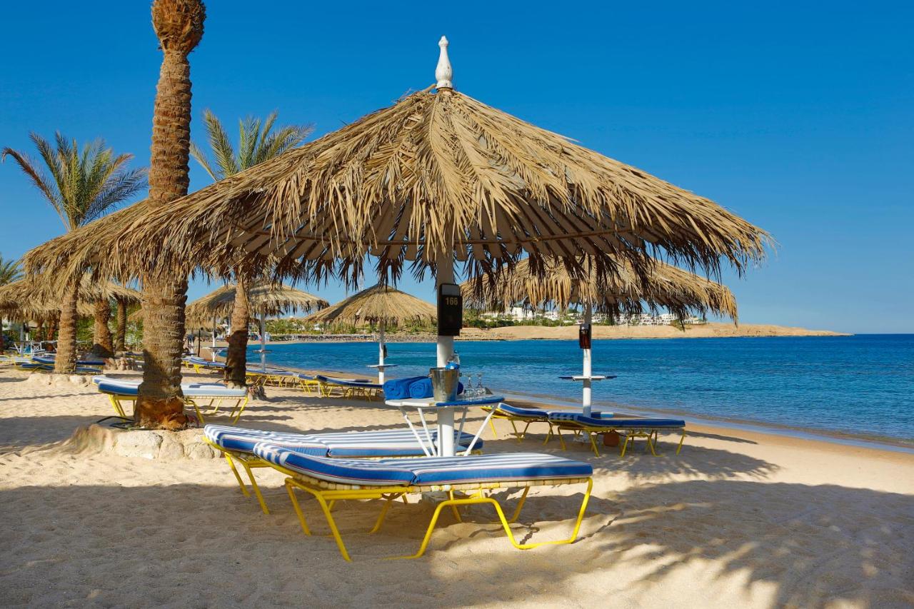 sharm dreams strand