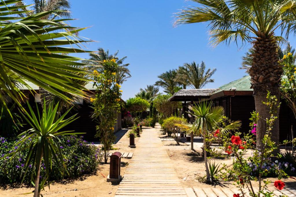 abu dabbab lodge tuin