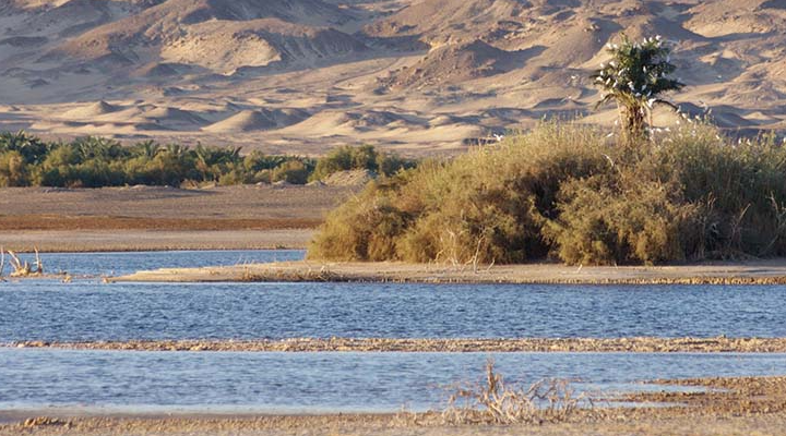 lake marun in bahareya